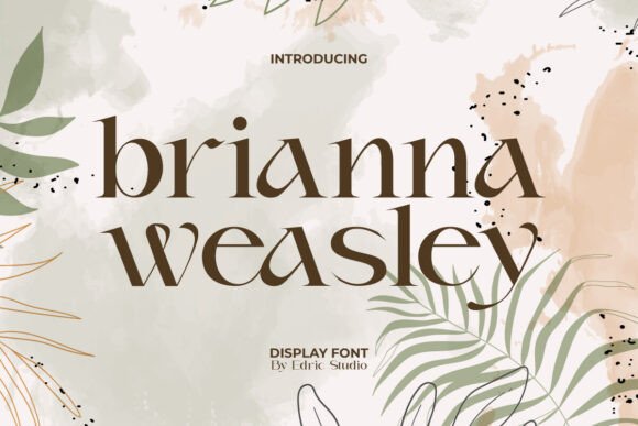 Brianna Weasley: A Serif Font That Makes Your Brand Feel Thoughtful & Luxurious