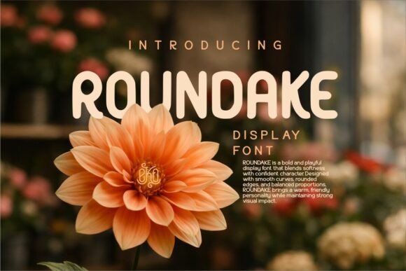 Roundake: A Friendly, Bold Display Font for Real Branding Work